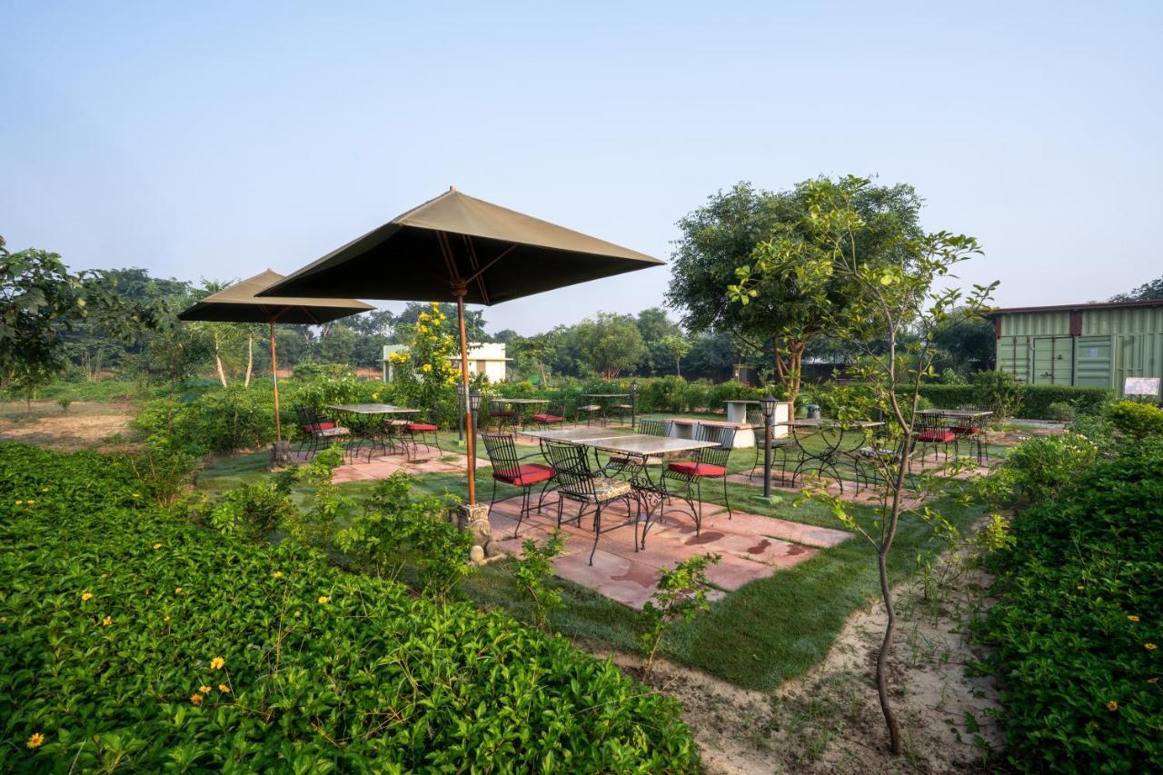 Tree Of Life Ecotainers Agra Hotel Agra  Exterior foto